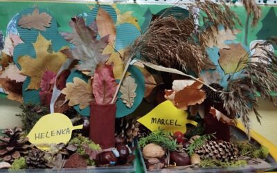 Jesienne skarby w parku – praca przestrzenna 4 – latków