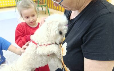 Pies przyjacielem człowieka jest – warsztaty z Moli